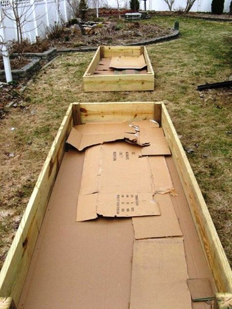 Raised Bed Construction, Zen Backyard, Raised Garden Beds Diy Vegetables, Raised Vegetable Gardens, Raised Garden Beds Diy, Garden Types, Garden Boxes, Garden Bed, Veggie Garden