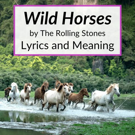 Lyric Meanings, Rolling Stones Quotes, White Horse Lyrics, The Stone Roses Lyrics, Poems About Horses, Famous Song Lyrics, Horse Poems Beautiful, Rolling Stones Lyrics, Wild Horses Lyrics