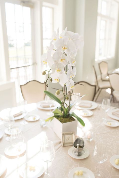 Orchids For Wedding Centerpiece, Orchid Flower Centerpieces, Orchid Bridal Shower Ideas, Table Decorations With Orchids, Orchids Wedding Centerpieces, Orchid Centerpiece Ideas, Wedding Decorations Orchid, Simple Orchid Centerpiece, Orchid Arrangements Wedding