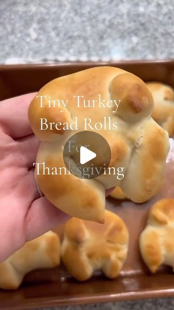 The Wishing Elephant on Instagram: "Meet the Turkey rolls you didn’t know you needed 🩷 #thanksgivingdinner #thanksgiving #bread" Rhodes Turkey Shaped Rolls, Rolls That Look Like Turkeys, Turkey Rolls For Kids, Dinner Rolls Shaped Like Turkey, Rolls Shaped Like Turkeys, Turkey Shaped Rolls Thanksgiving, Turkey Shaped Bread Rolls, Turkey Bread Rolls, Turkey Shaped Bread Loaf