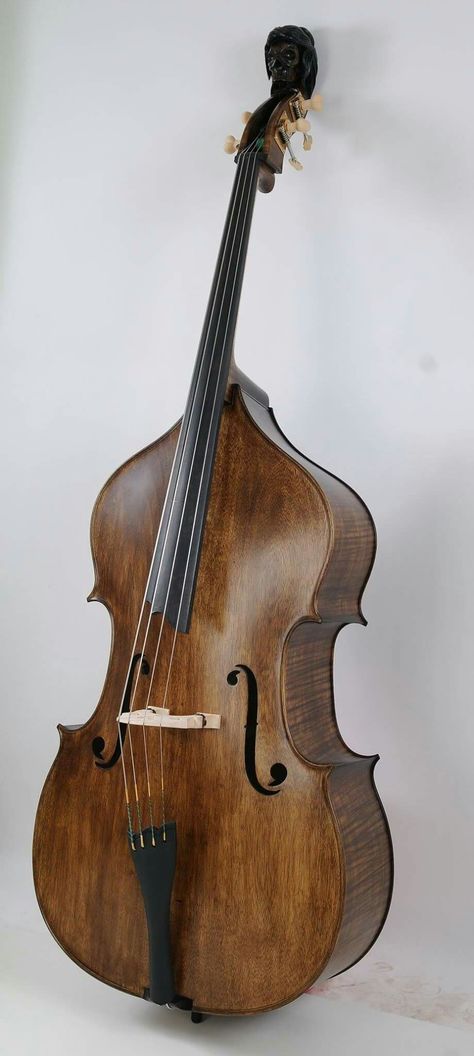 Ofelia Double Bass Double Bass Art, Cello Aesthetic, Orchestra Instruments, Bass Art, Bass Cello, Acoustic Bass Guitar, All About That Bass, Cellos, Double Bass