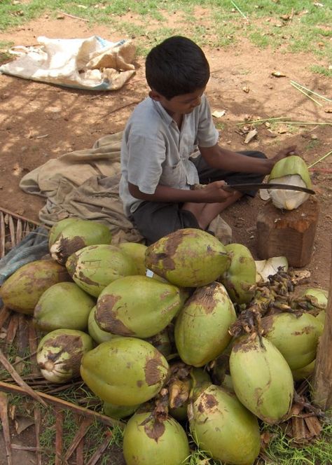 Drinking Coconut Water, Benefits Of Coconut Water, Drinking Coconut, Coconut Water Benefits, Middle East Food, Benefits Of Coconut, Water Health, Spiced Fruit, Village People