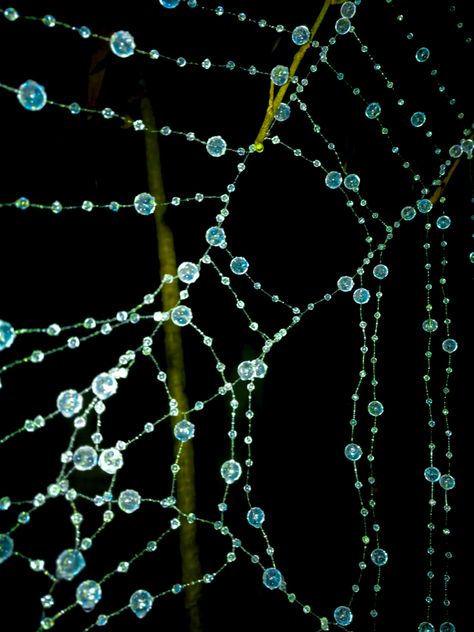 Beaded Spider Web Tutorial, Spider Web Mood Board, Spider Asethic, Pearl Spider Web, Green Spider Aesthetic, Bead Spider Web, Spider Web Astethic, Beaded Spider Web, Green Spider Web Aesthetic