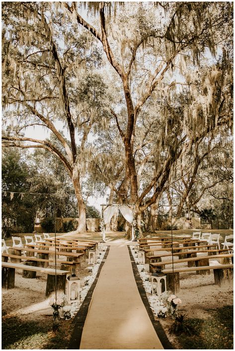 Wedding In A Ranch, Horse Pasture Wedding, Wedding Venues Flower Field, Wedding Venues Farmhouse, Minimalist Country Wedding, Country Aesthetic Wedding, Horse Ranch Wedding, Jacksonville Wedding Venues, Family Farm Wedding