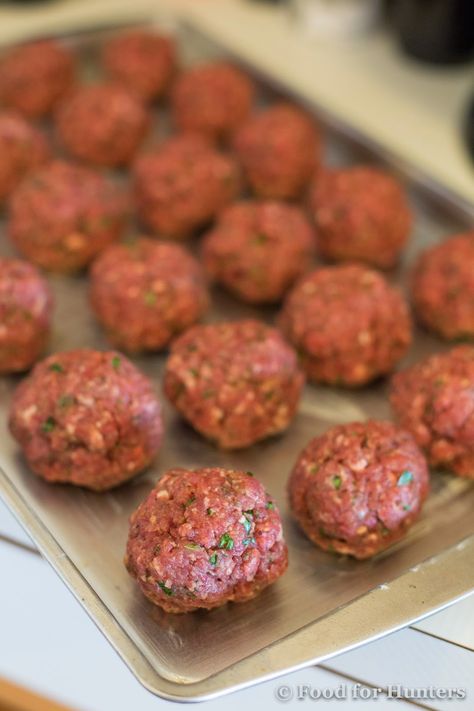 Venison Meatballs, Elk Recipes, Venison Meat, Basic Italian, Deer Recipes, Deer Meat Recipes, Deer Meat, Hamburger Meat Recipes, Venison Recipes