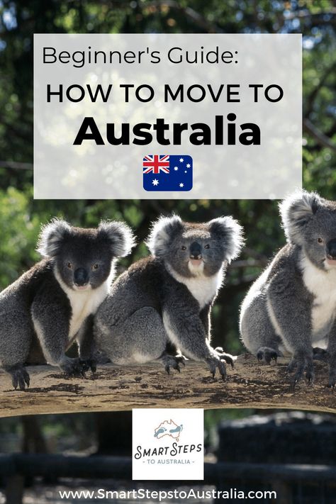 Find out how to move to Australia in this ultimate guide to the Australian migration process. Find out all about how to apply for an Australian visa, what stages to expect in the relocation process and find out how to move to Australia and create a life you love. Move To Australia, Pet Names For Dogs, Australia Adventure, Australian Visa, Funny Koala, Moving To Australia, Norway Travel, Unique Animals, Relocation