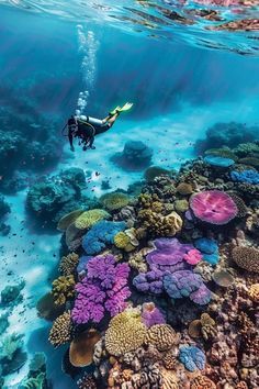 Great Barrier Reef Diving, Great Barrier Reef Snorkeling, Barrier Reef Australia, Pop Culture Magazine, Vision Board Photos, Culture Magazine, The Great Barrier Reef, Marine Biologist, Marine Conservation