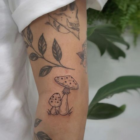 Little mushrooms 🍄🍄 #mushroomtattoo #mushroom #wildmushroom #wildflowerillustration #botanicaldrawing #botanicallillustration #minimalist… | Instagram Women Mushroom Tattoo, Mushroom Tattoo Minimalist, Fine Line Mushroom Tattoo, Little Mushroom Tattoo, Minimalist Mushroom Tattoo, Cute Mushroom Tattoo, Small Mushroom Tattoo, Mushroom Tattoo Ideas, Wildflowers Tattoo