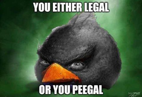 Angry Birds Funny, Goofy Images, Birds Funny, Bird Meme, Avatar Funny, Brain Rot, Angry Bird, Angry Birds, Really Funny Pictures