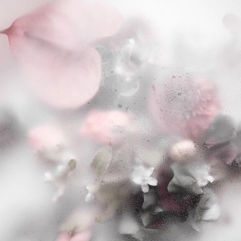 spotify playlist cover Angelic Aesthetic, Playlist Covers Photos, Soft Pink Theme, Instagram Feed Ideas Posts, Phone Inspiration, Nothing But Flowers, Instagram Feed Ideas, Pink Themes, Scene Creator