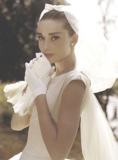 Audrey Hepburn Images, Aubrey Hepburn, Audrey Hepburn Photos, Old Hollywood Movies, Audrey Hepburn Style, Vintage Bride, Jolie Photo, Laura Lee, Audrey Hepburn