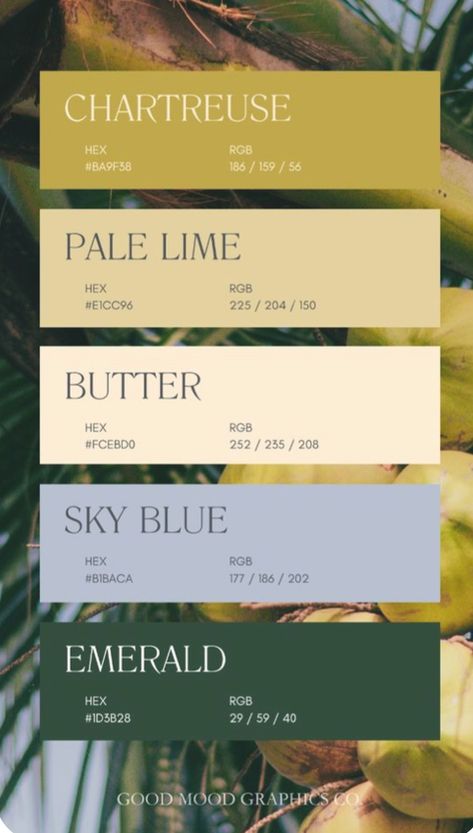 Trending Color Schemes, Tropical Pallet Colour Palettes, August Colors 2024, Home Library Color Palette, Fresh Colour Pallete, Meditterean Color Palette, Honeydew Color Palette, Colors That Go With Chartreuse, What Colors Compliment Green