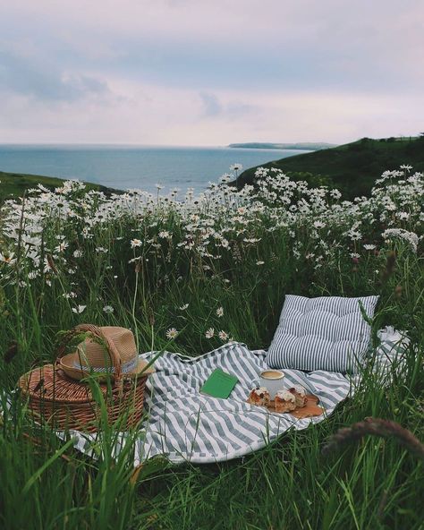 429 Likes, 33 Comments - Siobhán (@ouririshstory) on Instagram: “What weekend picnic dreams are made of. More of this field of dreams in my stories.” Serenity Core, Elle Core, Serena Core, Aesthetic Cottagecore, Field Of Dreams, Cottagecore Aesthetic, Summer Bucket Lists, A Picnic, Beach Picnic