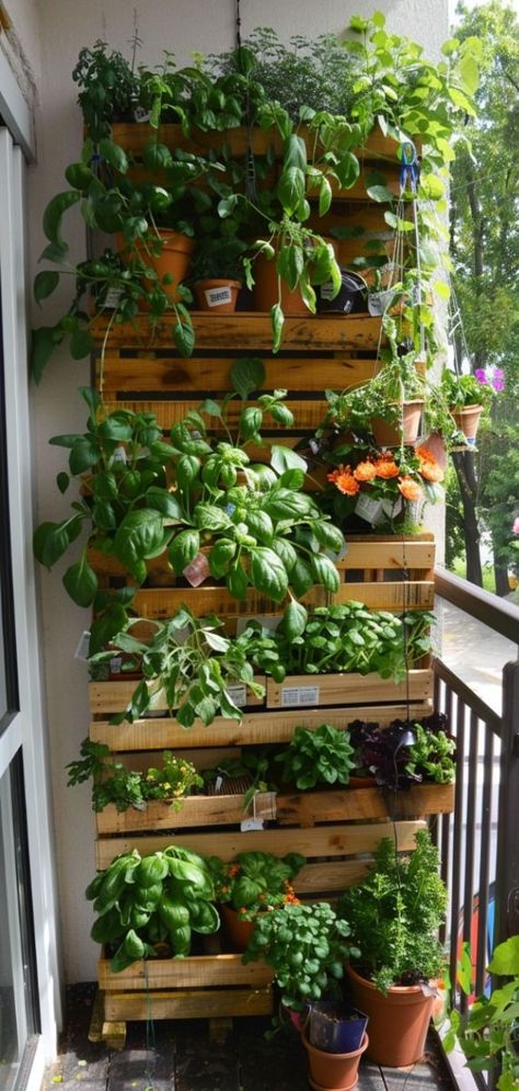 Creative Home Gardening Ideas for Every Space!! #gardeningtips #homegardening #urbangarden #plantcare #growyourown #gardeninginspiration #sustainableliving #pottedplants #gardenlife #vegetablegarden #homeandgarden #gardenplanning #gardendecor Herb Room Ideas, Indoor Garden Ideas Apartments, Herb Garden Aesthetic, Balcony Vegetable Garden Ideas, Herbs Balcony, Balcony Plants Ideas, Herb Garden Ideas Outdoor, Balcony Herbs, Herb Garden Outdoor