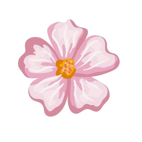 flower pink painting vector design Art, Design, Floral, Pink, Pink Painting, Flower Pink, Pink Flower, Vector Design, White