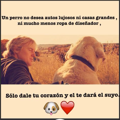 Marley y yo ❤️  #Movie #Insonnicos Jennifer Aniston, Dogs, Green, Quick Saves