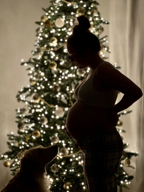 Maternity Christmas Pictures, Winter Pregnancy Photoshoot, Pregnant Silhouette, Christmas Pregnancy Photos, Creative Baby Announcements, Baby Bump Photoshoot, Winter Maternity Photos, Pregnancy Announcement Photoshoot, Eau Claire Wisconsin