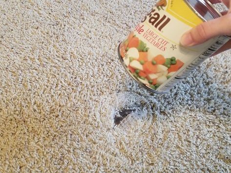 If your carpet has an unseemly stain, hole, or... Patch Hole, Carpet Fitting, Utility Knives, Carpet Padding, Kitchen Scissors, Repair Guide, Best Carpet, Home Upgrades, Dog Chews