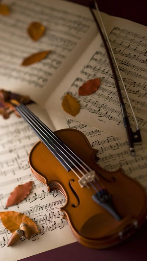 Violin Pics, Rpg Wallpaper, Violin Photography, Violin Art, Violin Sheet, Craft Home Decor, Violin Sheet Music, Music Motivation, Violin Music