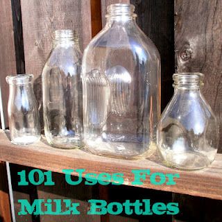 101 Glass Milk Bottle Uses (would be great for those Starbucks refrigerated drinks) Recycling Milk Bottles, Vintage Milk Bottles Decor, Milk Bottle Decor, Milk Bottle Craft, Milk Bottle Diy, Milk Jug Crafts, Old Milk Bottles, Starbucks Bottles, Vintage Milk Bottles