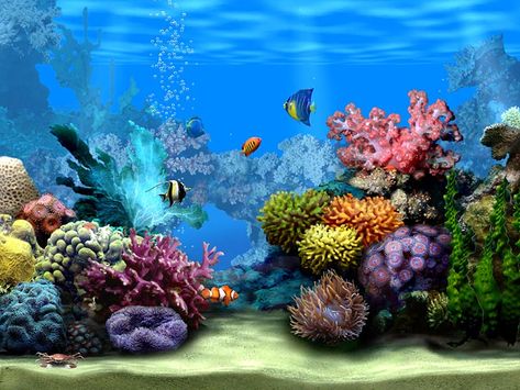 Aquarium Clipart, Fish Screensaver, Aquarium Screensaver, Aquarium Wallpaper, Fish Tank Background, Fish Printables, Aquarium Live Wallpaper, Live Fish Wallpaper, Tank Wallpaper