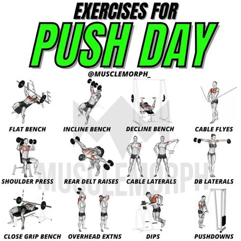 Upper Push Workout, Push Superset Workout, Gym Push Workout, Push Day Workout Gym Men, Push Exercises Gym, Push Gym Workouts, Push Dumbbell Workout, Push Workout For Men, Dumbbell Push Workout