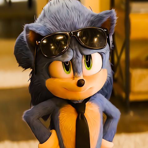 Sonic Icon, Sonic The Movie, Shadow Sonic, Fictional Character Crush, Sonic Movie, Hedgehog Movie, Sonic 3, Blue Hedgehog, Cartoon Man