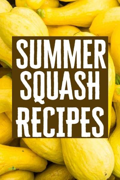 Summer Squash Recipes Healthy, Easy Yellow Squash Recipes, Crookneck Squash Recipes, Yellow Zucchini Recipes, Squash Ideas, Baked Summer Squash, Cooking Yellow Squash, Yellow Squash Soup, Squash Dishes