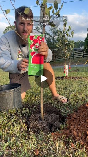 9.8K views · 399 reactions | Come Plant An Orchard With Me On Our Small 1/2 Homestead 

#homestead #foilhatgang #homesteader #fruittree #orchard #selfsufficient #backyardgarden #gardening #planting | B&R Homestead Small Orchard, Gardening Planting, Original Video, Fruit Trees, Backyard Garden, Planting, The Original, Plants, On Instagram