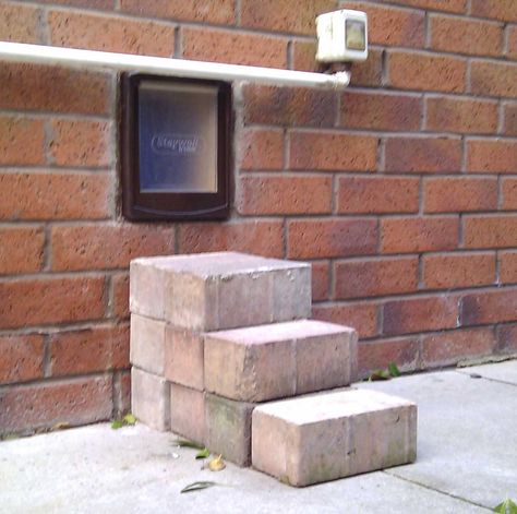 Fitting a Cat or small Dog Flap through a Wall in the U.K. Dog Flap, Nanny Ideas, Cat Doors, Cats And Cucumbers, Cat Flap, Cats Stuff, Cat Fun, Pet Doors, Barn Living