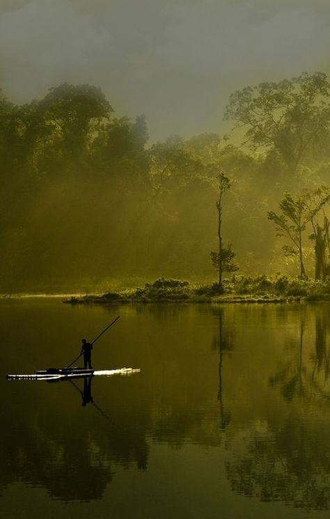 Sukabumi, West Java, Indonesia West Java, Vert Olive, Foto Art, Olive Green Color, Olive Color, World Of Color, Green Aesthetic, Art Plastique, Belle Photo