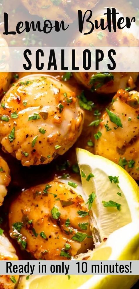 Lemon Butter Scallops Recipe, Lemon Butter Scallops, Butter Scallops, Seafood Scallops, Seafood Recipes Scallops, Most Popular Dinner Recipes, How To Cook Scallops, Date Night At Home, Fish Dinner Recipes