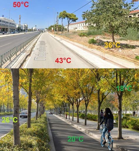 City Urban Planning, Hot Walk, Streetscape Design, Floating Architecture, Walkable City, Urban Design Graphics, City Layout, Sustainable City, Road Design