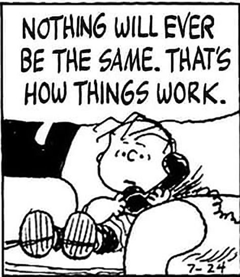 Peanuts Quotes, Charlie Brown Quotes, Social Work Humor, Woodstock Snoopy, Snoopy Comics, Cartoon Strip, Peanuts Cartoon, Snoopy Quotes, Photo Caption