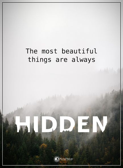 The most beautiful things are always HIDDEN  #powerofpositivity #positivewords  #positivethinking #inspirationalquote #motivationalquotes #quotes #life #love #hope #faith #respect #beautiful #hidden #pleasant Make Money Online Videos, Pleasant Quotes, Toketee Falls, Hiding Quotes, Secret Passage, Let It Flow, Life Motto, Power Of Positivity, Cute Love Quotes