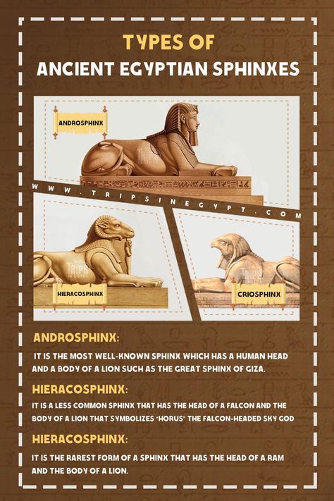 🦁 Androsphinx: The most famous of them all, featuring a human head and the body of a lion, just like the Great Sphinx of Giza. 🦅 Hieracosphinx: A rarer breed with the head of a falcon, symbolizing "Horus" the falcon-headed sky god. You can spot these incredible Sphinxes in Egypt's sacred temples. 🐏 Criosphinx: The most elusive form, boasting a ram's head and a lion's body, closely tied to the God Amun-Ra. 🤔 Which one intrigues you most? Share your thoughts in the comments below! Sphinx Egyptian, The Great Sphinx Of Giza, Sphinx Egypt, Sphinx Of Giza, Sky God, Amun Ra, Giza Plateau, Human Head, Greek History