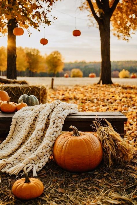 Autumn Esthetics, Fall Esthetics, Widgets Fall, Seasons Wallpaper, Harvest Ideas, Fall Bonfire, Fall Aesthetics, Fall Pics, Deck Decor