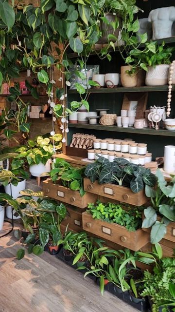 Retail Houseplant Displays, Plant Shop Aesthetic Vintage, Plant Shop Decor, Plant Store Display, Plant Shop Interior, Small Plant Shop, Plant Store Ideas, Plant Nursery Ideas, Plant Store Aesthetic