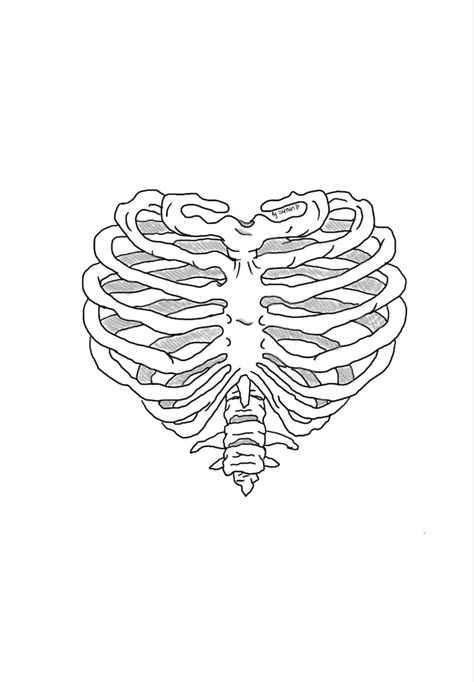 #drawing #heart #ribs #ribcage #shading Human Ribcage Drawing, Heart Shaped Rib Cage Tattoo, Skull Heart Drawing, Simple Ribcage Drawing, How To Draw A Rib Cage, Skeleton Heart Drawing, Heart Ribcage Tattoo, Ribcage Drawing Easy, Ribcage Drawing Reference