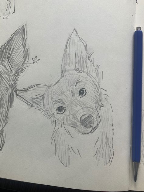 Semi Realistic Dog Drawing, Border Collie Drawing Pencil, Dog Drawing Border Collie, Border Collie Dog Drawing, Dog Art Easy, Border Collie Drawings, Draw Border Collie, Dogs Drawing Sketches, Border Collie Sketch Drawings