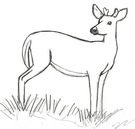 In this lesson, you’ll learn how measuring a reference image or object can help you draw using the correct proportions. Before you begin, remember: drawing is seeing. This point is discussed at length by Carrie Stuart Parks in her instructional book Secrets to Drawing Realistic Faces. Because our brains have established patterns of how things look, it’s […] Drawings Of Deer, Drawing Realistic Faces, Line Drawing Of Flowers, Deer Drawing Easy, Remember Drawing, Proportion Art, Drawing Of Flowers, Deer Sketch, Animal Line Drawings