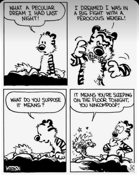 Silly Comics, Calvin And Hobbes Humor, Best Calvin And Hobbes, Sleeping On The Couch, The Far Side Comics, Calvin Und Hobbes, Calvin And Hobbes Quotes, Stuffed Tiger, Witty Humor