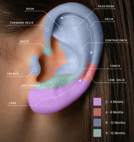 Minimalist Ear Piercings, Different Ear Piercings, Unique Ear Piercings, Ear Piercings Chart, Piercing Chart, Types Of Ear Piercings, Cool Ear Piercings, Pretty Ear Piercings, Cool Piercings