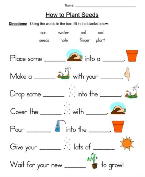 How to Plant Seeds - Interactive worksheet Plants And Seeds Grade 1, Science For Class 1, Science Worksheets For Grade 4, How To Plant Seeds, Plants Grade 1, Plants Worksheets For Kindergarten, Plants Worksheets For Grade 1, Plants Worksheets For Kids, Plant Needs Worksheet