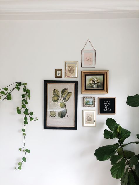 Boho Chic Gallery Wall, Gallery Walls For Small Spaces, Pictures On Small Wall, Narrow Wall Gallery Ideas, Half Gallery Wall, Gallery Wall Small Living Room, Gallery Wall Mixed Frames Living Room, Plant And Photo Gallery Wall, Minimalist Gallery Wall Bedroom