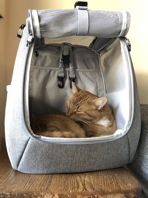 [SponsoredPost] 'Currently Back-Ordered. Estimated Ship Date June 17Th --- 'The Navigator' Convertible Cat Backpack Is The Perfect Backpack For Hikers, Outdoor Lovers, And Adventurers. It's Also Great For Basic Travel Needs Like Trips To The Vet And Car Rides And Gives Your Cat Plenty Of Visibility To Watch The World Go By. Features Include: Holds Up To 74 Lbs Of Cat Water Reservoir Pocket (Does Not Come With Water Bladder) Zippered Pocket With 9 Inside Pockets #petcarrierbag Cat Backpack Aesthetic, Cat Bag Carrier, Travel Cat, Cat Carrier Bag, Cat Backpack Carrier, Pet Carrier Bag, Adventure Cat, Water Bladder, Cat Obsession