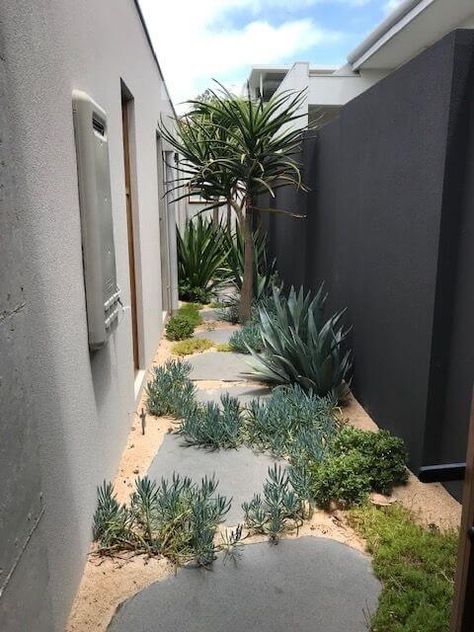 Side Access Garden Ideas, Bluestone Steppers, Front Yard Design Ideas, Garden Home Ideas, Garden Front Yard, Desert Gardens, Side Gate, Side Yard Landscaping, Australian Native Garden