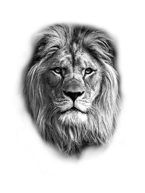 Lion Tattoo Men Back, Lions Head Tattoo Men, Lion Tattoo Man, Best Lion Tattoos Men, Lion Head Sketch, Lion Tattoo Sketch, Kurt Tattoo, Tato Naruto, Lion Hand Tattoo