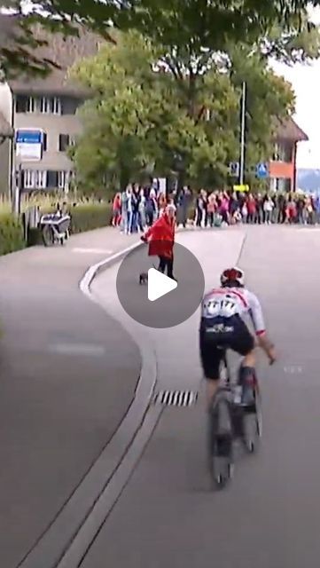 GCN - Global Cycling Network on Instagram: "🐶 This could have been a nasty collision for @marchirschi at the @tourdesuisse_official 🇨🇭 ⁠
⁠
Check out the Link In Bio for our full race report! ⁠
⁠
⁠
#tourdesuisse #tds #GCNracing #RoadBike #GCN #Racing #GlobalCyclingNetwork #CyclingLife #Bicycle #RoadCycling #Cyclist #BikeLife #BikeRacing #CycleRacing #Bike #dogs Watch Live On Discovery+, or Max" Racing Cyclist, Road Cycling, Watch Live, Racing Bikes, Bike Life, Road Bike, Link In Bio, Cycling, Bicycle