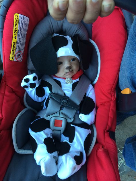 DIY newborn Dalmatian costume - Inspiration for D's costume Halloween Costumes Newborn, Boy Puppy, Dalmatian Costume, Newborn Costume, Newborn Halloween Costumes, First Halloween Costumes, Baby Boy Halloween